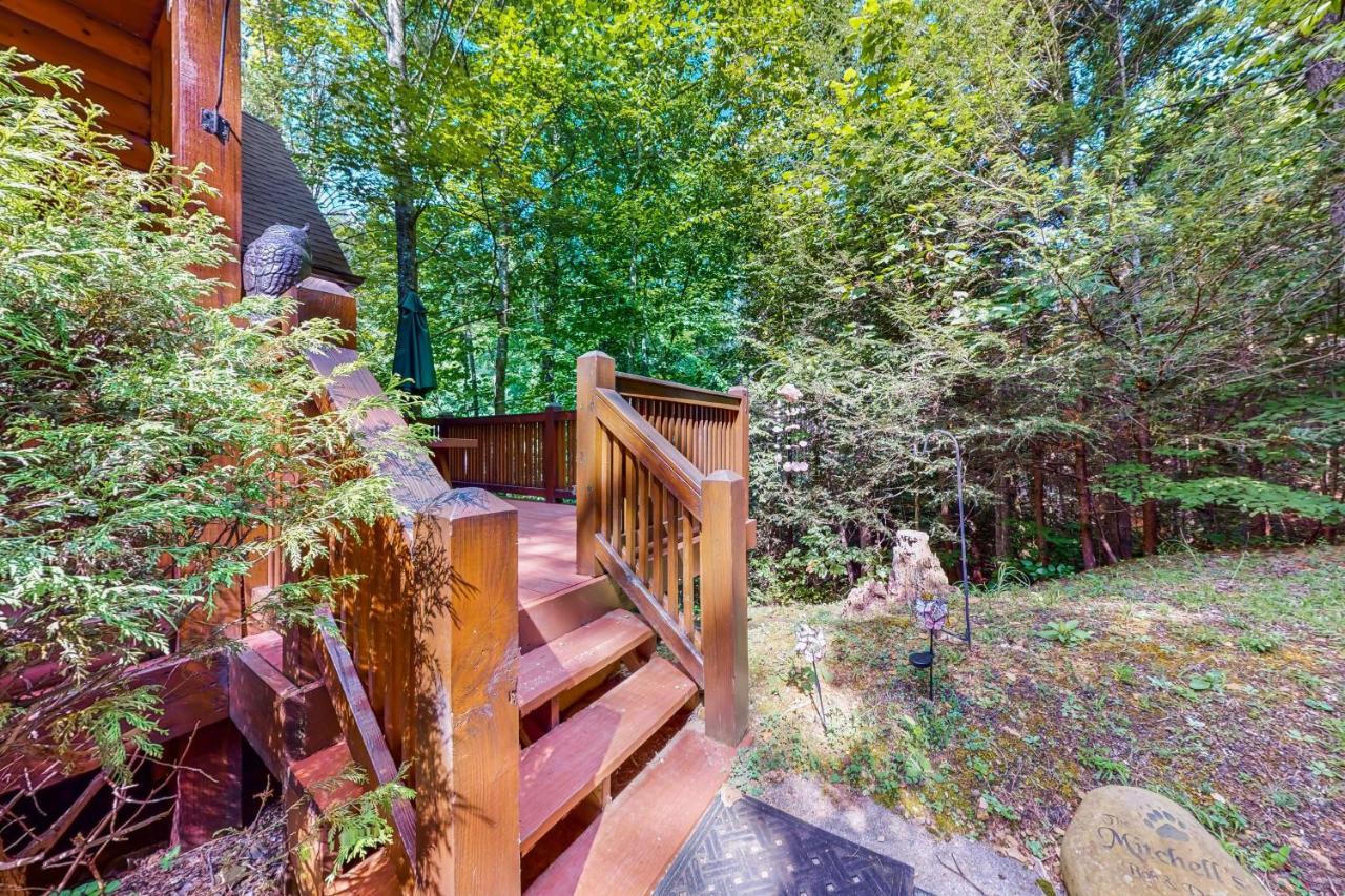 Cozy Cub Cabin Гетлинбург Екстериор снимка